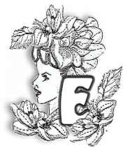 FLORALE.jpg