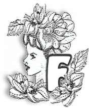 FLORALF.jpg