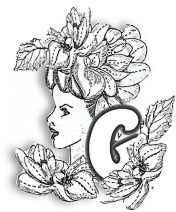 FLORALG.jpg