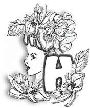 FLORALH.jpg