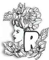 FLORALR.jpg