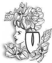 FLORALV.jpg