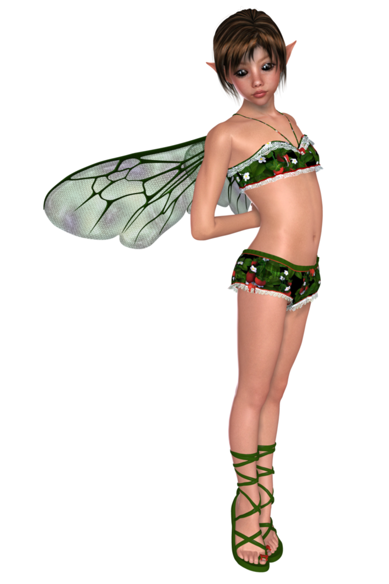 Faeries_Pack_5_Preview_1_by_joannastar_stock.png