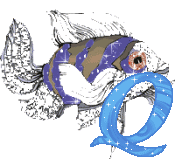 Fische-11-q.gif