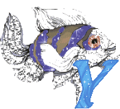 Fische-11-y.gif