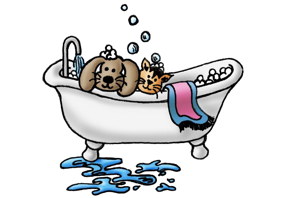 Funny-Animal-Bath-36.png