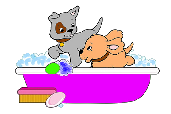 Funny-Animal-Bath-44.png