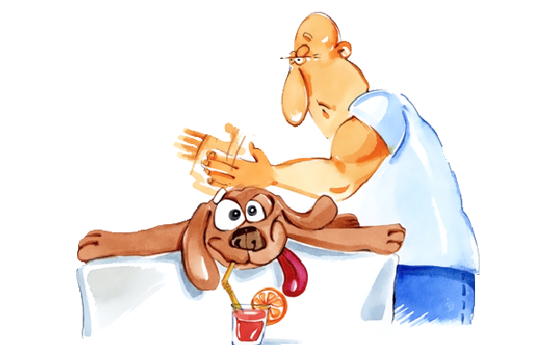 Funny-Animal-Grooming-13.png