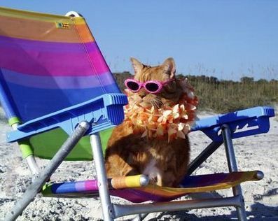 Funny-Beach-Pics-7.jpg