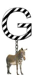G-Zebra-Charm_ccnan.jpg