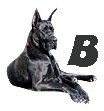 Great-Dane-B.jpg