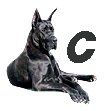 Great-Dane-C.jpg