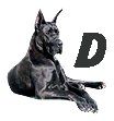 Great-Dane-D.jpg