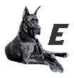 Great-Dane-E.jpg