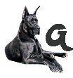 Great-Dane-G.jpg