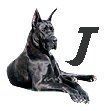 Great-Dane-J.jpg