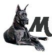 Great-Dane-M.jpg