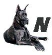 Great-Dane-N.jpg