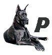Great-Dane-P.jpg