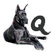 Great-Dane-Q.jpg