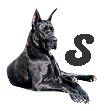 Great-Dane-S.jpg
