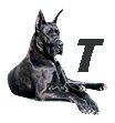 Great-Dane-T.jpg