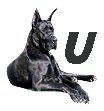 Great-Dane-U.jpg
