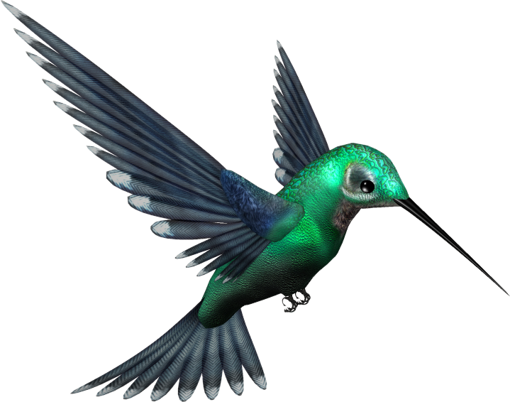 Green_Humming_Bird_PNG_by_pixievamp_stock.png