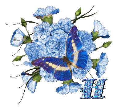 H.gif
