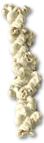 HGG_popcorn-alpha2-I.png