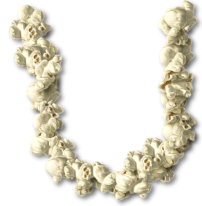 HGG_popcorn-alpha2-U.png