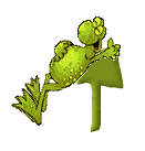 HappyFrog_T_FroggieCreations.gif