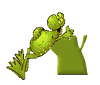 HappyFrog_Y_FroggieCreations.gif
