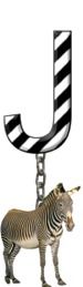 J-Zebra-Charm_ccnan.jpg