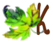 K-LEAF.gif