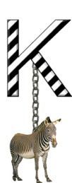 K-Zebra-Charm_ccnan.jpg