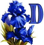 KKS~Blue-Iris-D.gif