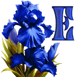 KKS~Blue-Iris-E.gif