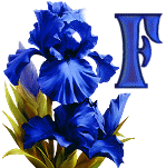 KKS~Blue-Iris-F.gif