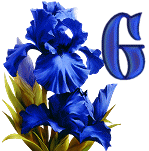 KKS~Blue-Iris-G.gif