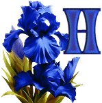 KKS~Blue-Iris-H.gif