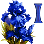 KKS~Blue-Iris-I.gif