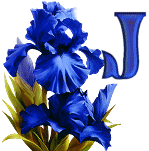 KKS~Blue-Iris-J.gif