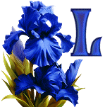 KKS~Blue-Iris-L.gif