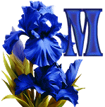 KKS~Blue-Iris-M.gif