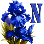 KKS~Blue-Iris-N.gif