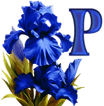 KKS~Blue-Iris-P.gif