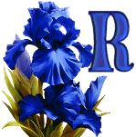 KKS~Blue-Iris-R.gif