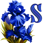 KKS~Blue-Iris-S.gif