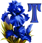 KKS~Blue-Iris-T.gif